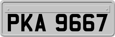 PKA9667