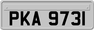 PKA9731