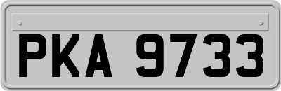 PKA9733