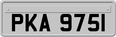 PKA9751