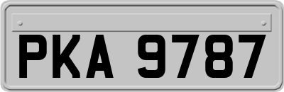 PKA9787