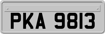 PKA9813
