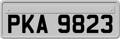 PKA9823