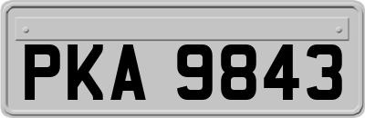 PKA9843