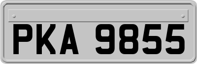 PKA9855