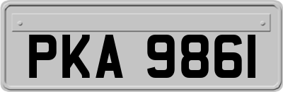 PKA9861