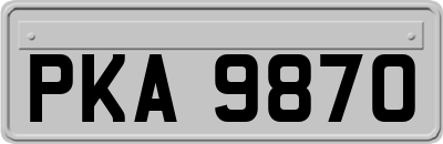 PKA9870