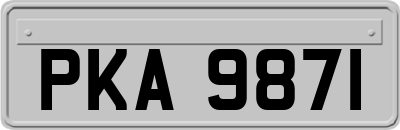 PKA9871