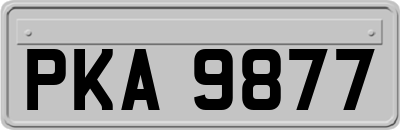 PKA9877