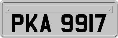 PKA9917