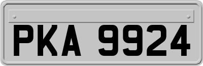 PKA9924