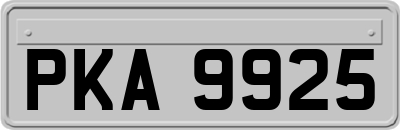 PKA9925
