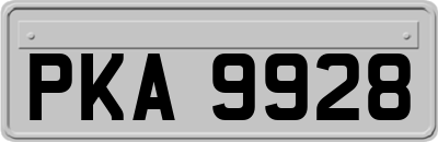 PKA9928