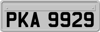 PKA9929