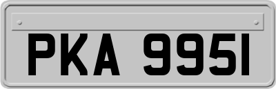 PKA9951