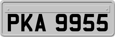 PKA9955