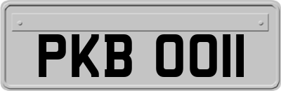PKB0011