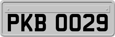 PKB0029