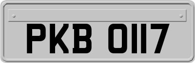 PKB0117