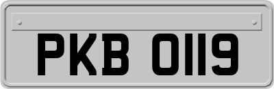 PKB0119