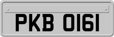 PKB0161