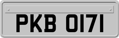 PKB0171