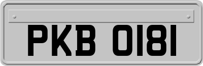 PKB0181