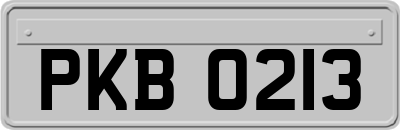 PKB0213