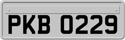 PKB0229