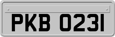 PKB0231