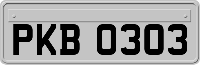 PKB0303