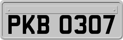 PKB0307