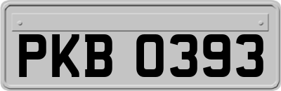 PKB0393