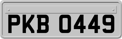 PKB0449