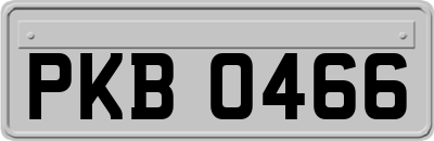 PKB0466