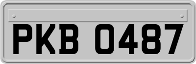 PKB0487