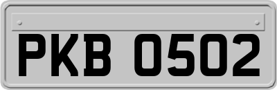 PKB0502