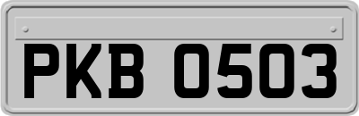 PKB0503