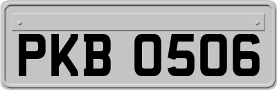 PKB0506
