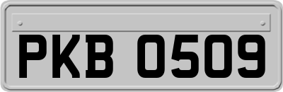 PKB0509