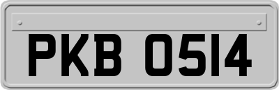 PKB0514
