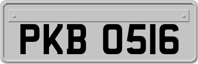PKB0516