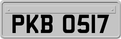 PKB0517
