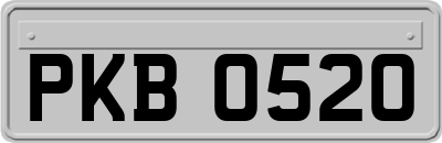 PKB0520