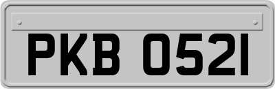 PKB0521