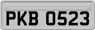 PKB0523