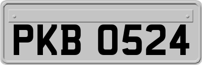 PKB0524