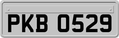 PKB0529
