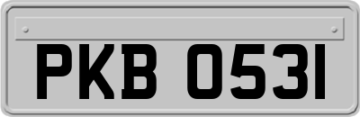 PKB0531
