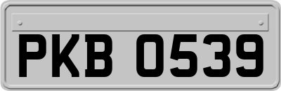 PKB0539